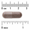Swanson Vitamins Full Spectrum Pau d'Arco 500 мг (капсулы) 100 капсул