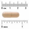 Swanson Vitamins Maca 500 мг (вегетарианские капсулы) 60 капсул