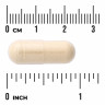 Swanson Vitamins Tongkat Ali 400 мг (вегетарианские капсулы) 120 капсул