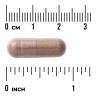 Swanson Vitamins Full Spectrum Saw Palmetto 540 мг (вегетарианские капсулы) 250 капсул