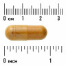 Swanson Vitamins Turmeric & Black Pepper 600 мг (вегетарианские капсулы) 90 капсул