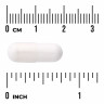 Swanson Vitamins Zinc Picolinate - Body Preferred Form 22 мг (вегетарианские капсулы) 60 капсул