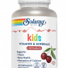 Solaray Children's Multivitamin (жевательные таблетки) 60 таблеток